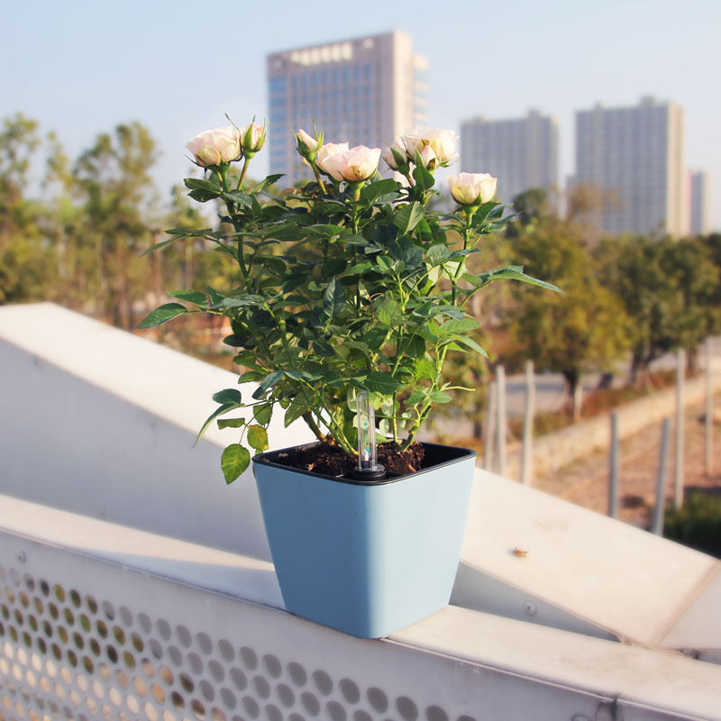 Automatic water-absorbing porcelain-like small flower pot