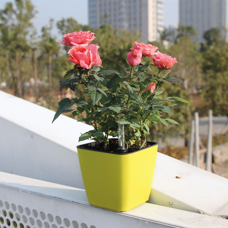 Automatic water-absorbing porcelain-like small flower pot