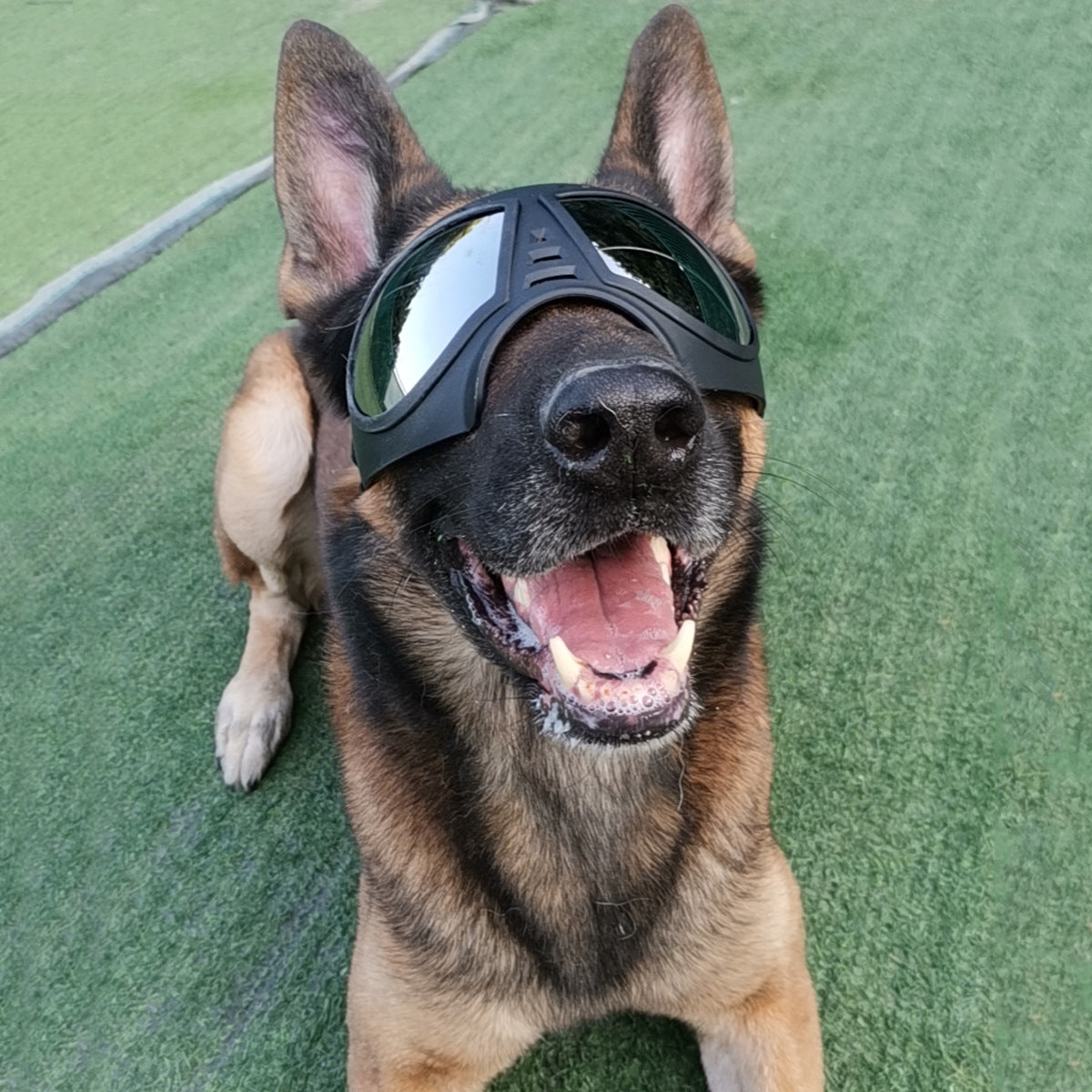 Pet mask glasses - waterproof & snow-proof soft frame goggles