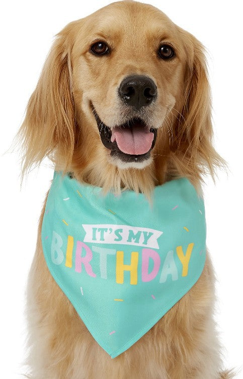 Dog Birthday Gift Toys - Birthday Cake