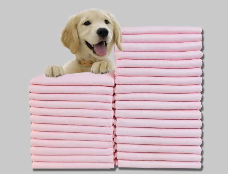 Pet Dog - Wee Wee training pads