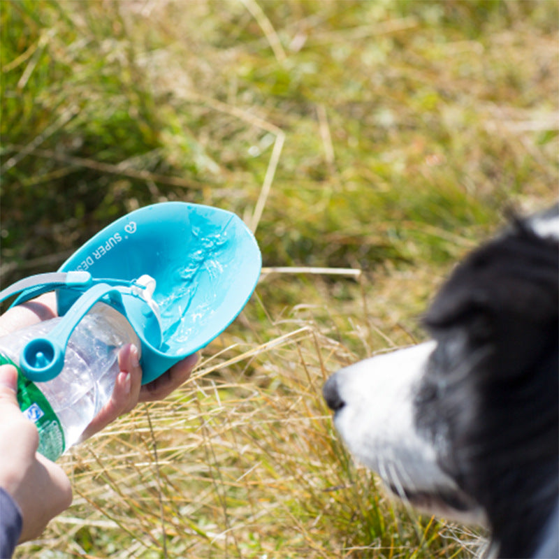 Pet dog cup - outdoor feeding water - drinker portable bottle