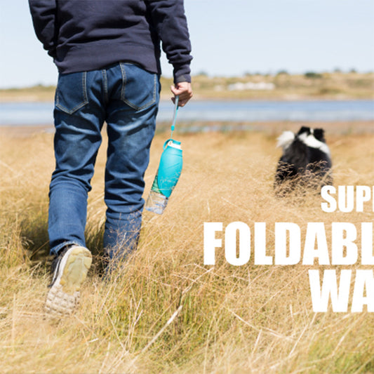 Pet dog cup - outdoor feeding water - drinker portable bottle