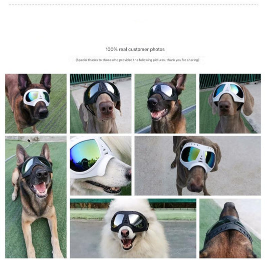 Pet mask glasses - waterproof & snow-proof soft frame goggles